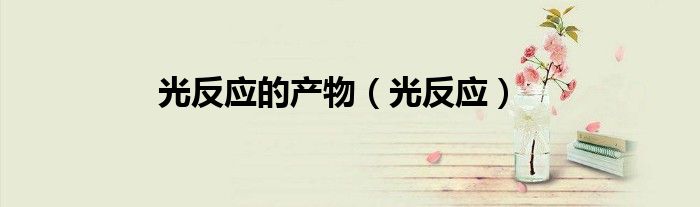光反應(yīng)的產(chǎn)物（光反應(yīng)）