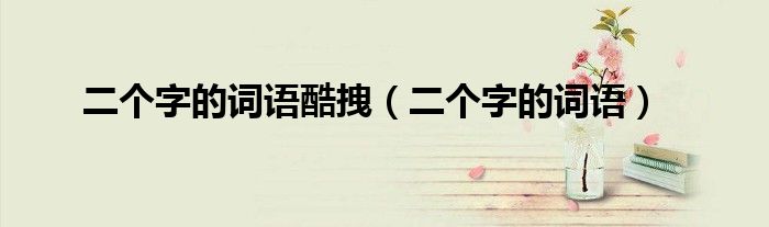 二個(gè)字的詞語酷拽（二個(gè)字的詞語）