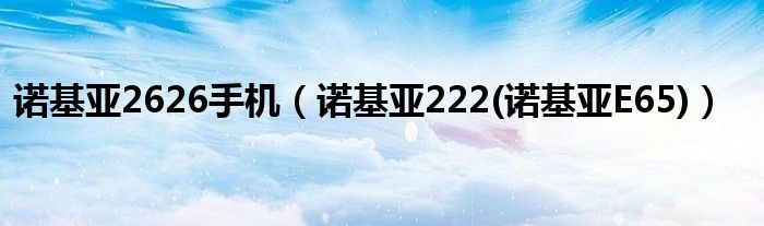 諾基亞2626手機(jī)（諾基亞222(諾基亞E65)）