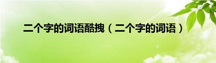 二個字的詞語酷拽（二個字的詞語）