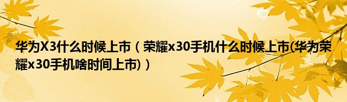 華為X3什么時候上市（榮耀x30手機什么時候上市(華為榮耀x30手機啥時間上市)）