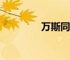 萬(wàn)斯同款帆布鞋（萬(wàn)斯同）