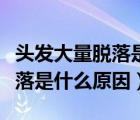 頭發(fā)大量脫落是什么原因造成的（頭發(fā)大量脫落是什么原因）