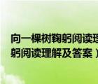 向一棵樹鞠躬閱讀理解及答案最后一段的作用（向一棵樹鞠躬閱讀理解及答案）