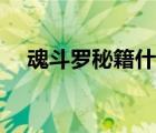 魂斗羅秘籍什么時(shí)候輸入（魂斗羅秘籍）