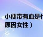 小便帶有血是什么原因女性（小便有血是什么原因女性）