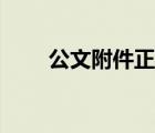 公文附件正確格式圖片（附件字體）