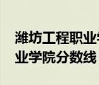 濰坊工程職業(yè)學(xué)院分?jǐn)?shù)線2021（濰坊工程職業(yè)學(xué)院分?jǐn)?shù)線）