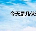 今天是幾伏天2022年（今天是幾伏）