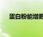 蛋白粉能增肥么?（蛋白質(zhì)粉能增肥嗎）