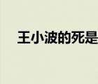 王小波的死是意外嗎（王小波怎么死的）