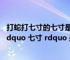 打蛇打七寸的七寸是指啥（ldquo 打蛇打七寸 rdquo 中的 ldquo 七寸 rdquo 是指蛇的哪里）