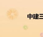 中建三局總承包公司官網(wǎng)