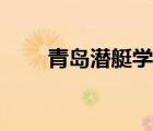 青島潛艇學(xué)院新兵（青島潛艇學(xué)院）