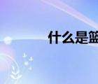 什么是籃板?（什么是籃板球）