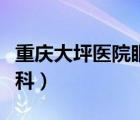 重慶大坪醫(yī)院眼科掛號(hào)兒童（重慶大坪醫(yī)院眼科）