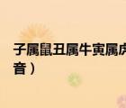 子屬鼠丑屬牛寅屬虎卯屬兔（子鼠丑牛寅虎卯兔十二生肖讀音）