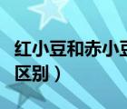 紅小豆和赤小豆有什么區(qū)別（紅豆跟赤小豆的區(qū)別）