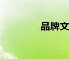 品牌文化建設(shè)（品牌文化）