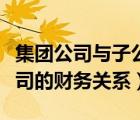 集團(tuán)公司與子公司的財(cái)務(wù)關(guān)系（子公司與母公司的財(cái)務(wù)關(guān)系）