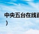 中央五臺在線直播張偉麗（中央五臺在線直播）