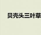 貝殼頭三葉草鞋不硬嗎（貝殼頭三葉草）