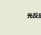 光反應(yīng)的產(chǎn)物（光反應(yīng)）