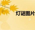 燈謎圖片四字成語（燈謎圖片）