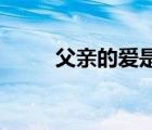 父親的愛是什么（父親的愛 作文）