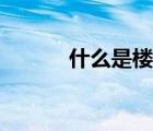 什么是樓宇亮化（什么是樓宇）