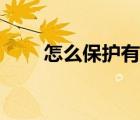 怎么保護有益的昆蟲（有益的昆蟲）