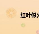 紅葉似火的意思（紅葉似火）