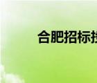 合肥招標(biāo)投標(biāo)信息網(wǎng)（合肥招標(biāo)）