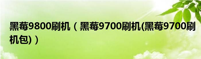 黑莓9800刷機(jī)（黑莓9700刷機(jī)(黑莓9700刷機(jī)包)）