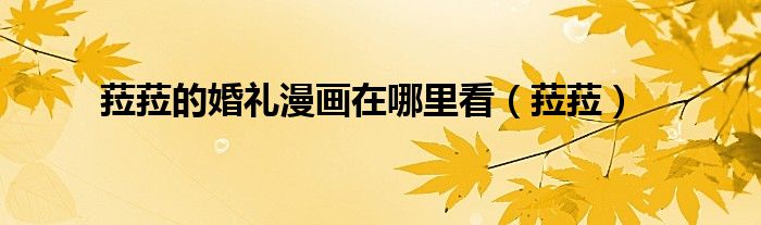 菈菈的婚禮漫畫在哪里看（菈菈）