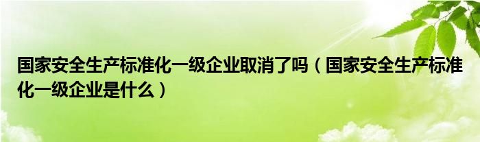 國家安全生產標準化一級企業(yè)取消了嗎（國家安全生產標準化一級企業(yè)是什么）