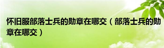 懷舊服部落士兵的勛章在哪交（部落士兵的勛章在哪交）