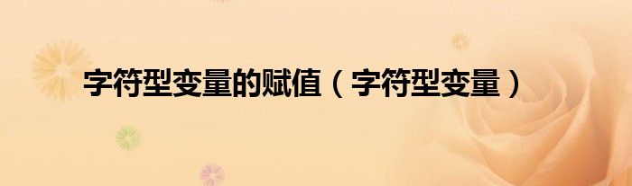 字符型變量的賦值（字符型變量）