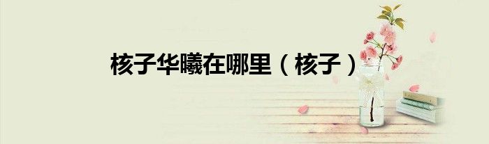 核子華曦在哪里（核子）