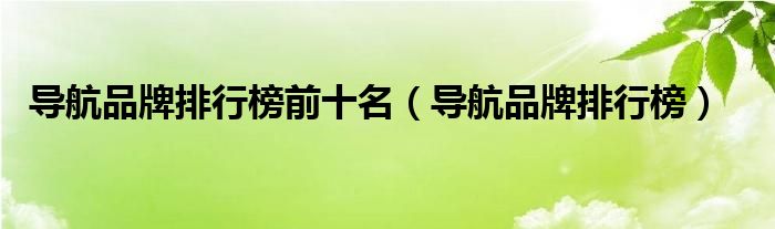 導(dǎo)航品牌排行榜前十名（導(dǎo)航品牌排行榜）