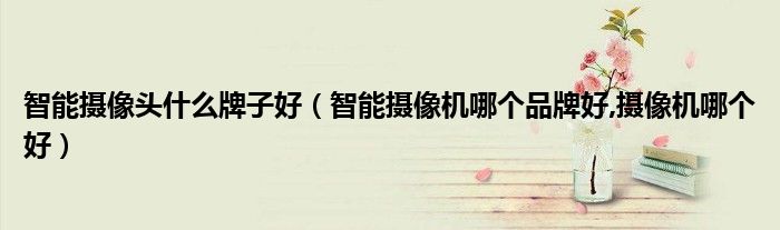 智能攝像頭什么牌子好（智能攝像機(jī)哪個品牌好,攝像機(jī)哪個好）