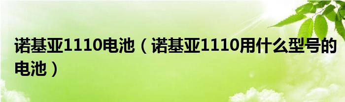 諾基亞1110電池（諾基亞1110用什么型號(hào)的電池）