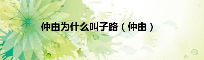仲由為什么叫子路（仲由）