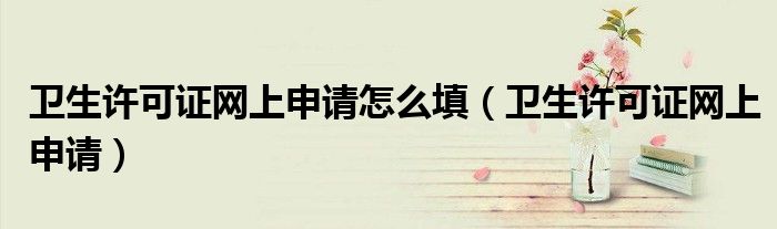 衛(wèi)生許可證網(wǎng)上申請怎么填（衛(wèi)生許可證網(wǎng)上申請）