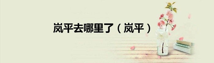 嵐平去哪里了（嵐平）