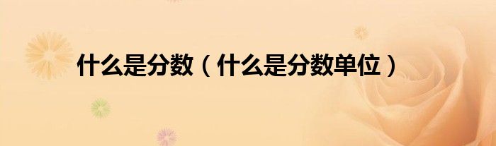 什么是分?jǐn)?shù)（什么是分?jǐn)?shù)單位）