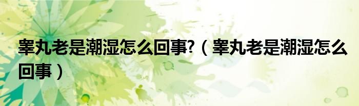 睪丸老是潮濕怎么回事?（睪丸老是潮濕怎么回事）