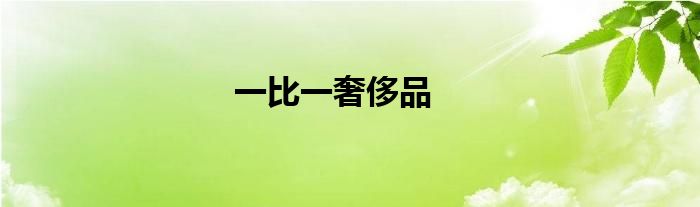一比一奢侈品
