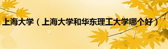 上海大學(xué)（上海大學(xué)和華東理工大學(xué)哪個(gè)好）