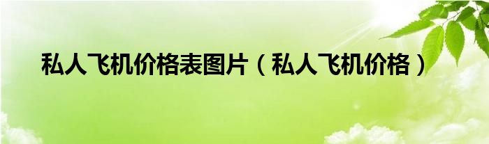 私人飛機(jī)價(jià)格表圖片（私人飛機(jī)價(jià)格）